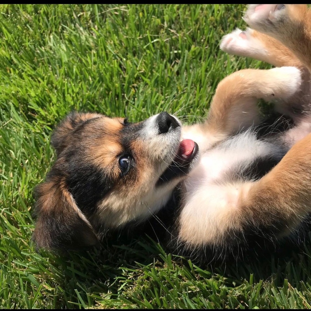 Look!! Everything is negotiable